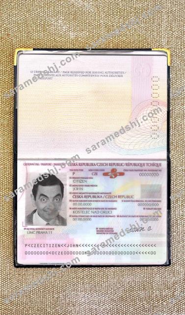 Czechia passport photo look